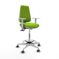 Sedia da Ufficio Elche Piqueras y Crespo B5B026G Pistacchio Alta