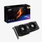 Scheda Grafica Acer DP.ZDBWW.P01
