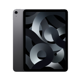 Tablet Apple MM9L3TY/A 8 GB RAM M1 Grigio 8 GB 256 GB
