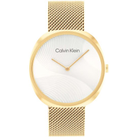 Orologio Uomo Calvin Klein 1685215