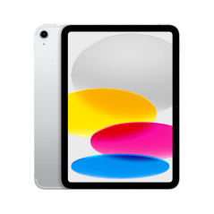 Tablet Apple iPad Argentato 256 GB Argento
