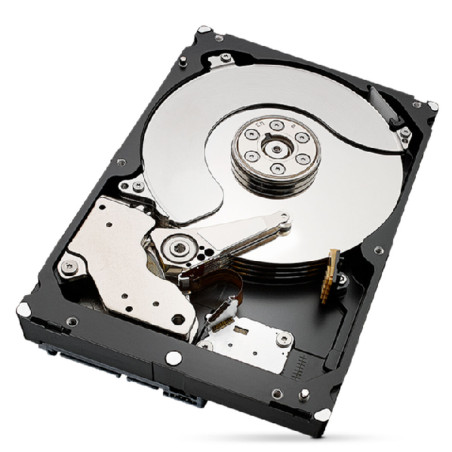 Hard Disk Seagate ST4000NT001 3,5" 4 TB