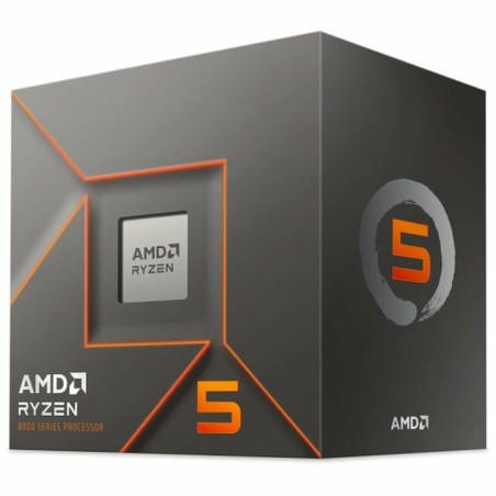 Processore AMD Ryzen 5 8400F AMD AM5